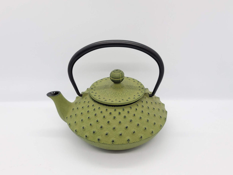 Iwachu Teapot 0.35L Flat Arare Wakakusa Enamel Interior Nambu Ironware-Kiichin - The #1 Place for Japanese Goods in Your Hand!