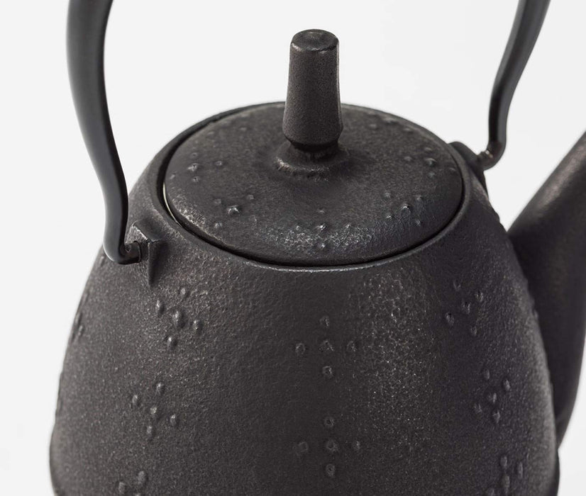 Iwachu Nambu Ironware Teapot Rice Black 0.6L Enameled Inside 12087-Kiichin - The #1 Place for Japanese Goods in Your Hand!
