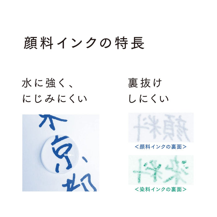 Sailor Fountain Pen Storia Mix Pigment 20ml Red Ink Bottle 13-1503-230-Kiichin - The #1 Place for Japanese Goods in Your Hand!