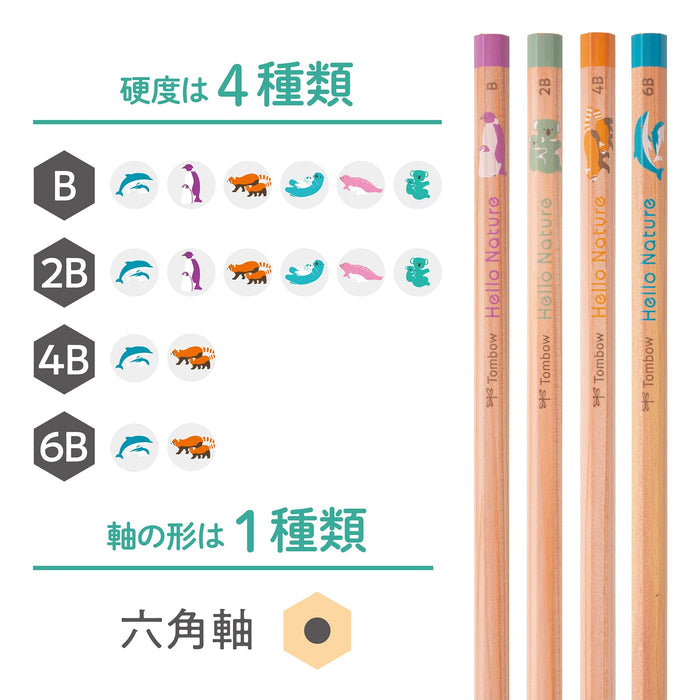 Tombow 2B Pencil Drawing Hello Nature Koala Edition-Kiichin - The #1 Place for Japanese Goods in Your Hand!