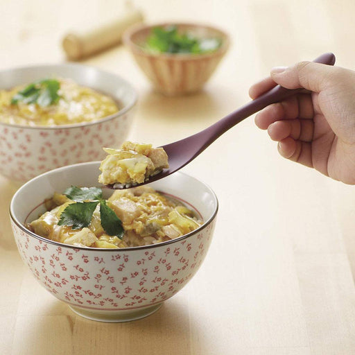 Akebono Gourmet Spoon Scarlet - 17cm Premium Culinary Utensil-Kiichin - The #1 Place for Japanese Goods in Your Hand!