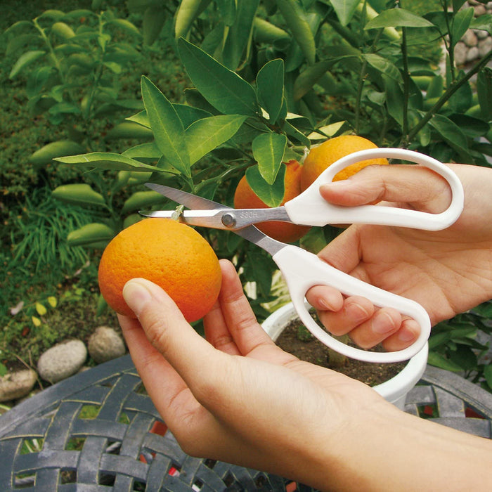 Cutlery Steel Scissors by Ars Corporation Premium High Carbon for Precision Cutting-Kiichin - The #1 Place for Japanese Goods in Your Hand!