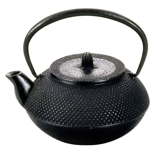 Asahi Cast Iron Tetsukyusu Teapot Arare 500ml - Authentic Japanese Tea Brewing Essential-Kiichin - The #1 Place for Japanese Goods in Your Hand!