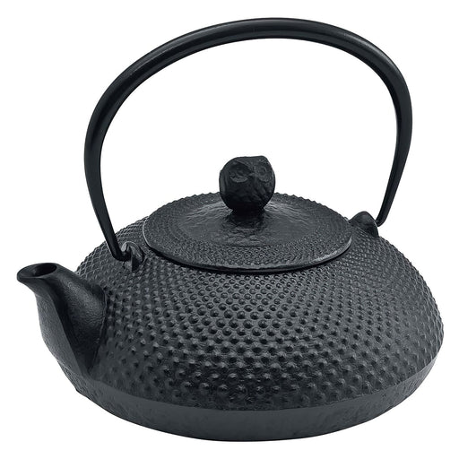 Ikenaga Nambu Cast Iron Tetsubin Kettle - Premium Houju-Kiichin - The #1 Place for Japanese Goods in Your Hand!