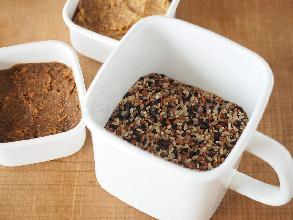 Noda Horo White Storage Container with Airtight Lid & Handle - Made in Japan-Kiichin - The #1 Place for Japanese Goods in Your Hand!