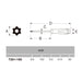 Anex Driver Hex Lobe T20X100-Anex No.6300 Tool by Anex Brand-Kiichin - The #1 Place for Japanese Goods in Your Hand!