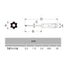 Anex Tool T27X115 Hex Lobe Driver with Hole No.6300 - Annex Tool (Anex)-Kiichin - The #1 Place for Japanese Goods in Your Hand!
