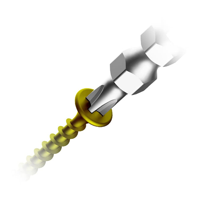Anex Double-Head Ryutyo Bit Set Slim Plated Finish 2X85 - Set of 2-Kiichin - The #1 Place for Japanese Goods in Your Hand!