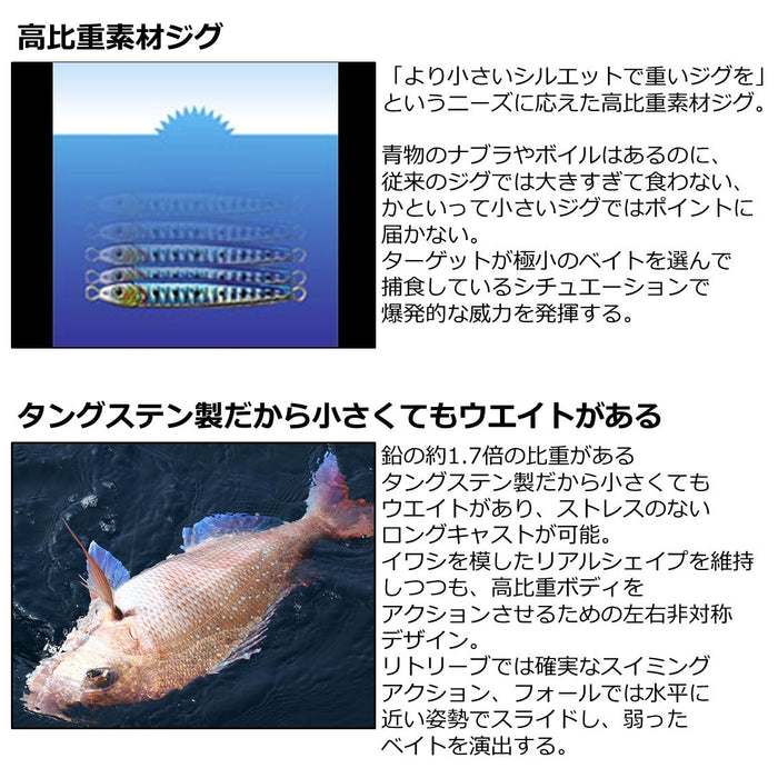 Daiwa Tungsten Jig TG Bait 45g Natural Mirror Finish-Kiichin - The #1 Place for Japanese Goods in Your Hand!