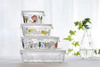 https://cdn.shopify.com/s/files/1/0564/5166/1891/files/Iwaki-HeatResistant-Glass-Airtight-Container-Shinji-Kato-Nordic-Garden-Design-Square-450Ml-B3240Snf-4905284165949-4.jpg?v=1755763396