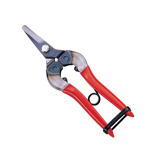 Ars Corporation Fruit Picking Shears 310 (Boxed)-Kiichin - The #1 Place for Japanese Goods in Your Hand!