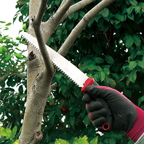 Ars 21Sg-21 Fruit Tree Pruning Saw-Kiichin - The #1 Place for Japanese Goods in Your Hand!