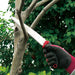Ars 21Sg-21 Fruit Tree Pruning Saw-Kiichin - The #1 Place for Japanese Goods in Your Hand!