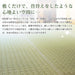 Hagihara Rush Flower Mat Carpet - Authentic Japanese Tatami Design-Kiichin - The #1 Place for Japanese Goods in Your Hand!