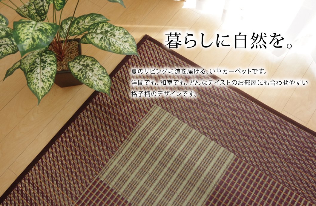 Ikehiko Corp Japan Rug Carpet Rush Tatami Mat Square F Light Blue - User-Friendly Flooring Solution-Kiichin - The #1 Place for Japanese Goods in Your Hand!