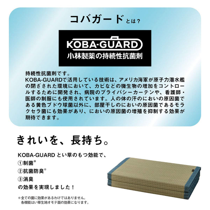 Ikehiko Corporation Antibacterial Deodorizing Rush Clear Mat 80X180Cm - Japan's #1 Choice-Kiichin - The #1 Place for Japanese Goods in Your Hand!