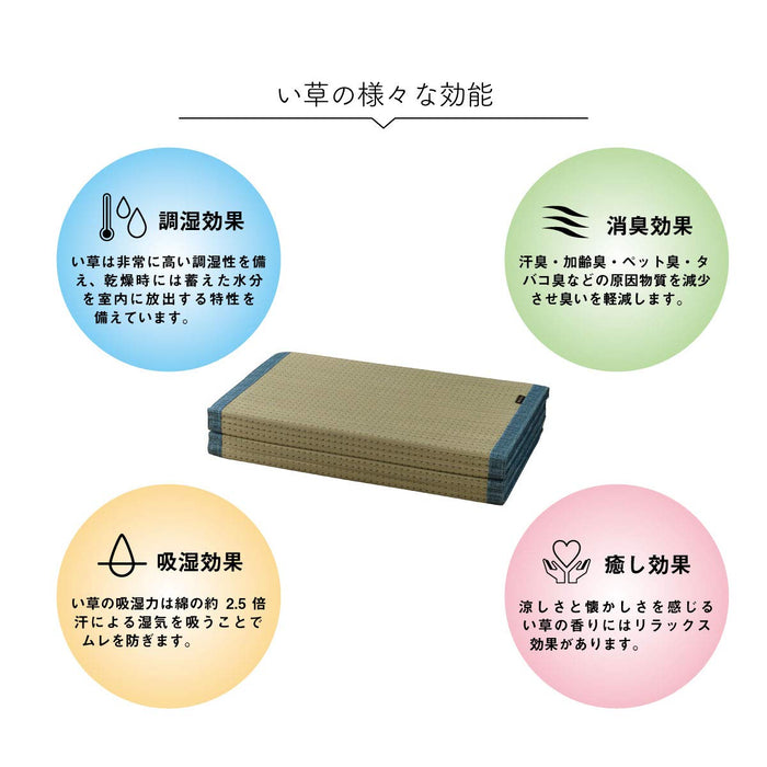 Ikehiko Corporation Antibacterial Deodorizing Rush Clear Mat 80X180Cm - Japan's #1 Choice-Kiichin - The #1 Place for Japanese Goods in Your Hand!