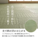 Ikehiko Rush Rug Carpet - Hanagoza Glasse Edoma 2 Tatami Mats (174X174Cm) #4135902-Kiichin - The #1 Place for Japanese Goods in Your Hand!