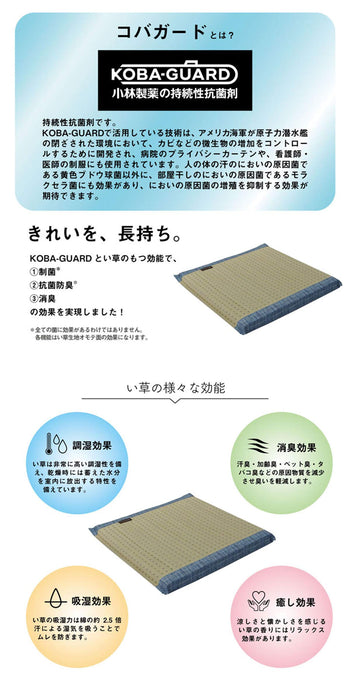 Ikehiko Kobayashi's Japanese Rush Zabuton Clear Blue-Kiichin - The #1 Place for Japanese Goods in Your Hand!