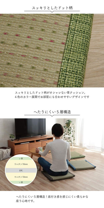 Ikehiko Kobayashi's Japanese Rush Zabuton Clear Blue-Kiichin - The #1 Place for Japanese Goods in Your Hand!