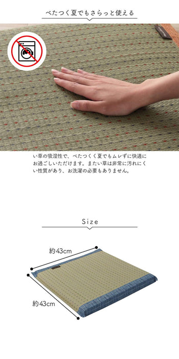 Ikehiko Kobayashi's Japanese Rush Zabuton Clear Blue-Kiichin - The #1 Place for Japanese Goods in Your Hand!